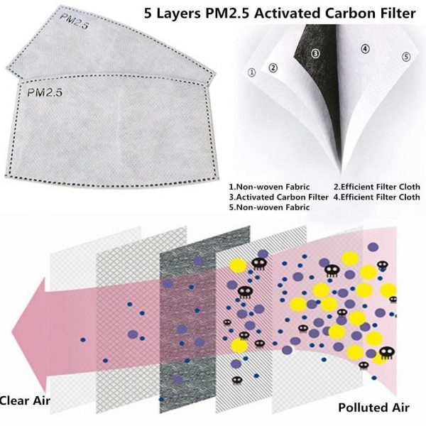 pm 2.5 filter