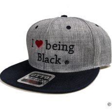 Original SnapBlack hat