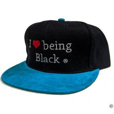 Suede bill Snapblack hat