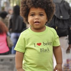 iLBB Toddler tee