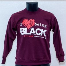 Youth sized sweatshirt